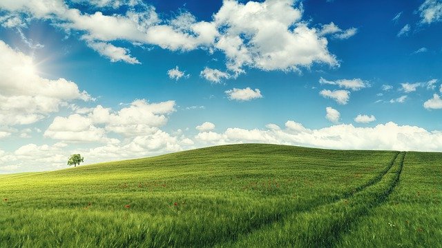 114年度馬祖原鄉閩東語言及文化暑假學生體驗營