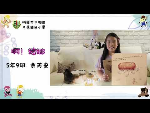 好書推薦#29~啊！蟑螂